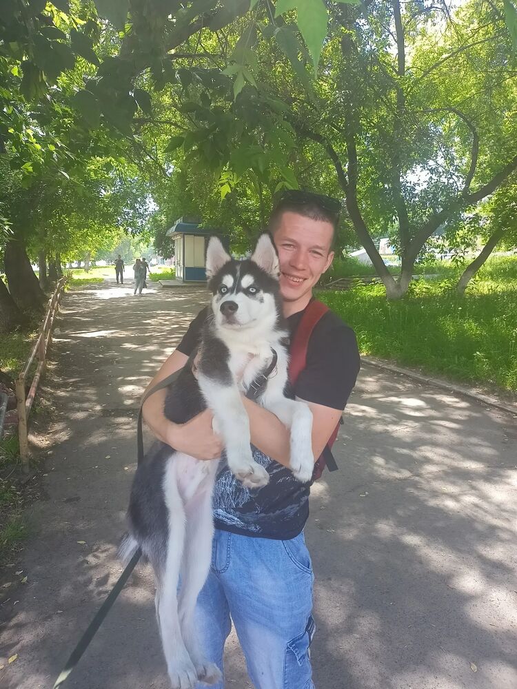 ���� 50026394 ������� ���������, 29 ���, ���� ���������� � ����������