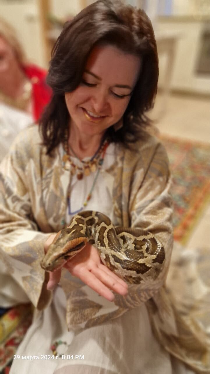 ���������� �����������, ���� ������� �������, 43 ����, ������������ ��� c�������� ���������