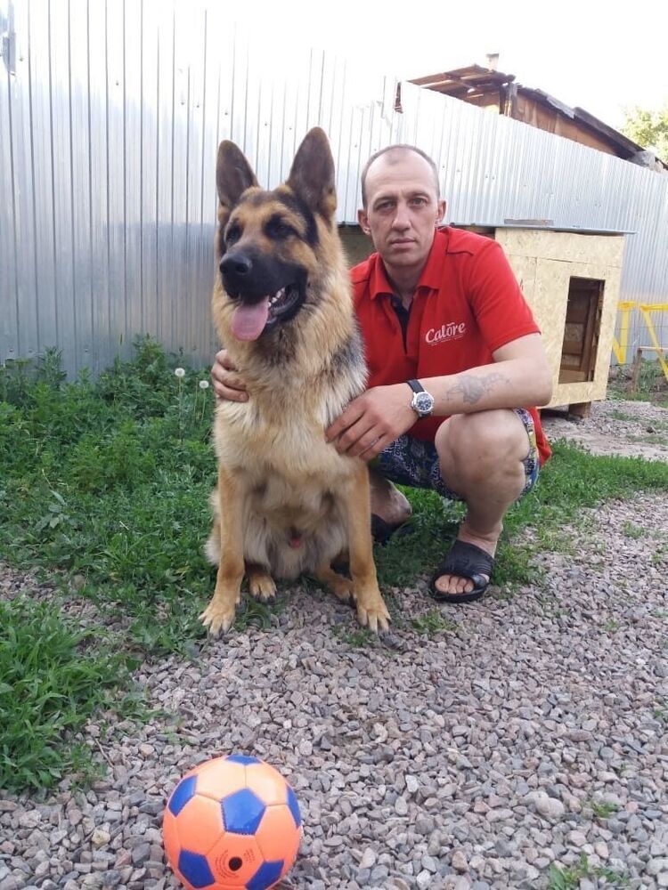 ���� 25060554 ������� �������, 50 ���, ���� ���������� � ������