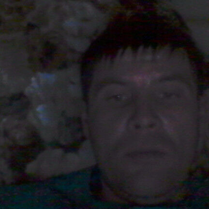  8466454  , 42 ,    