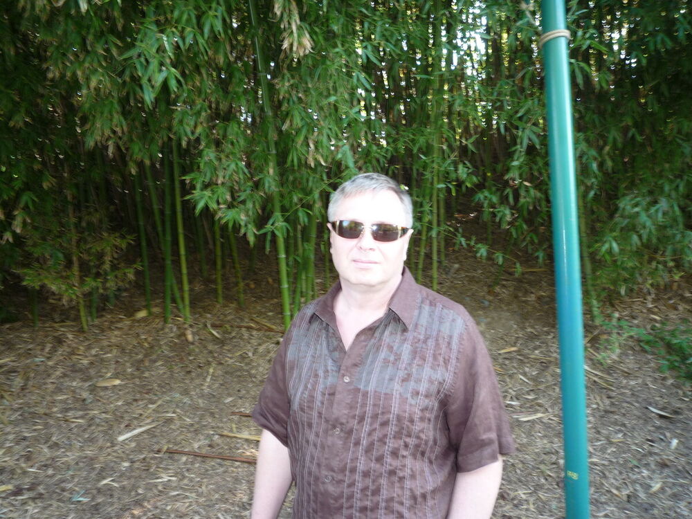 ���� 20868584 ������� ������, 55 ���, ���� ���������� � ������