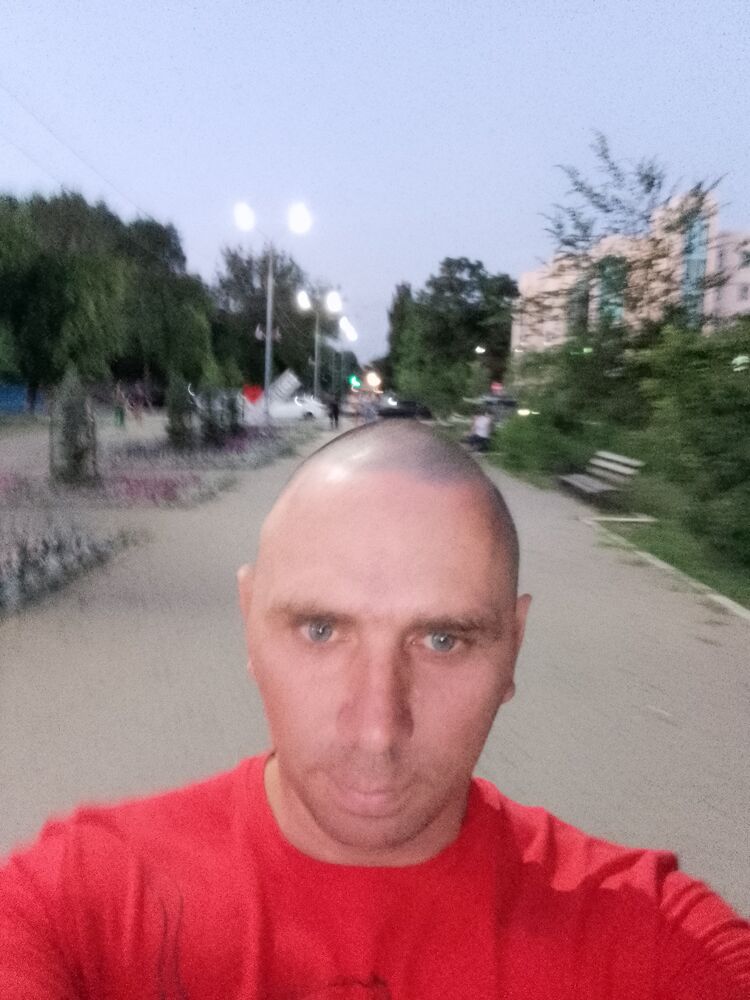  29552524  , 40 ,    -