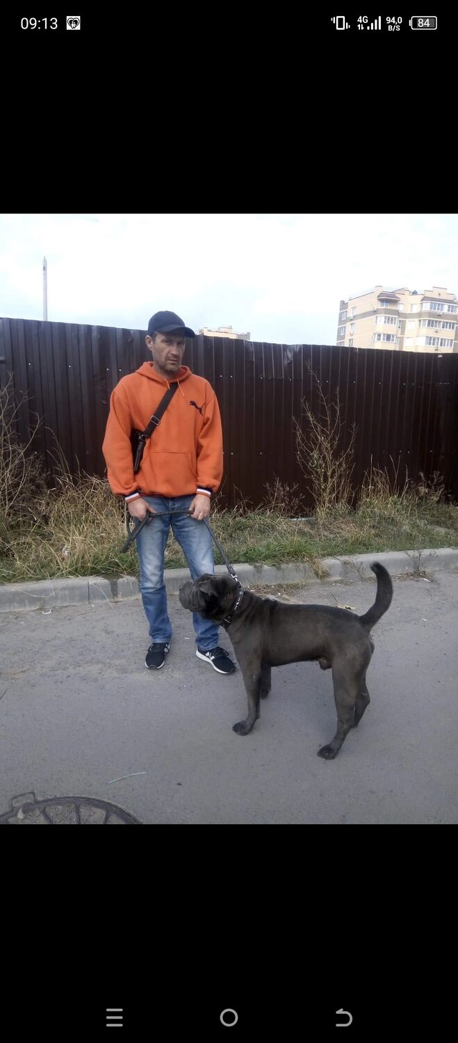  42293974  , 51 ,    --