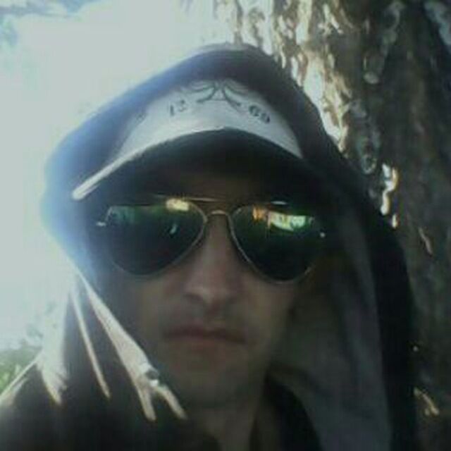  46863234  , 31 ,    