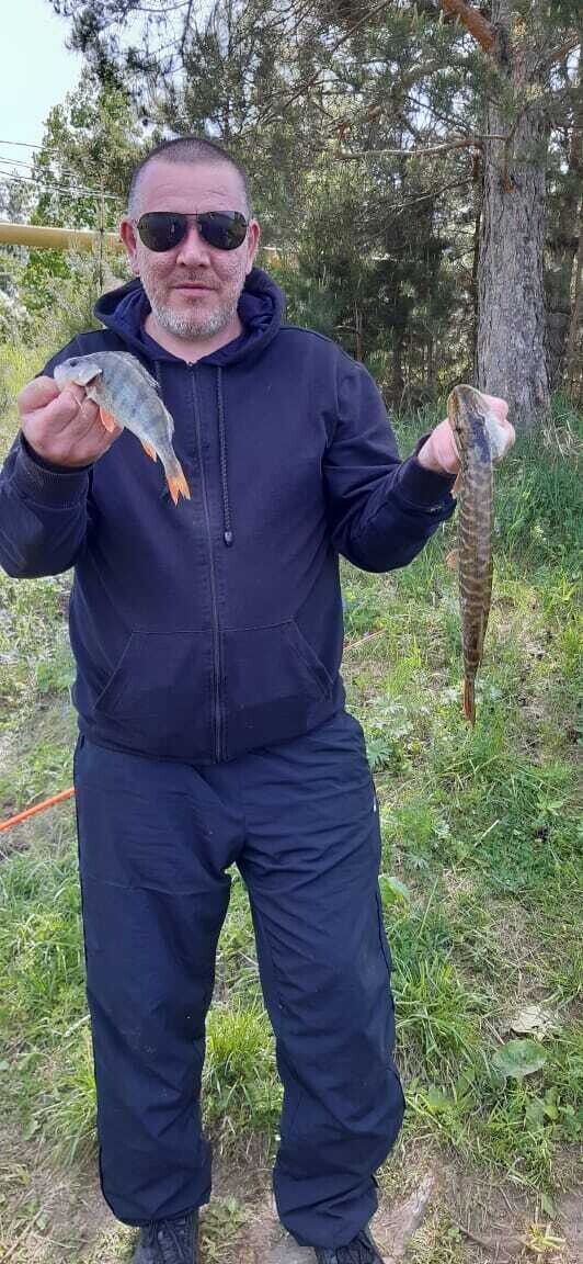 ���������� ������������, ���� ������� ����, 48 ���, ������������ ��� ������