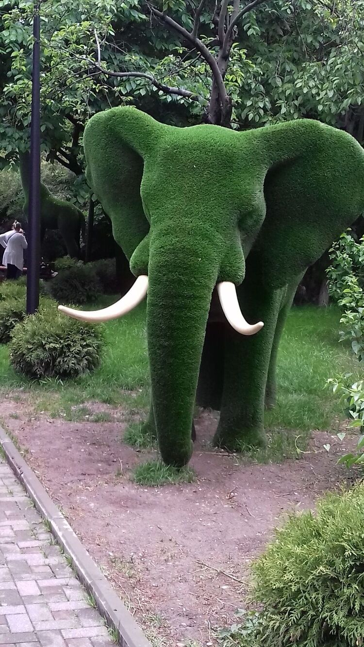 ���������� ���������, ���� ������� ������, 35 ���, ������������ ��� ������, ����� � ���������