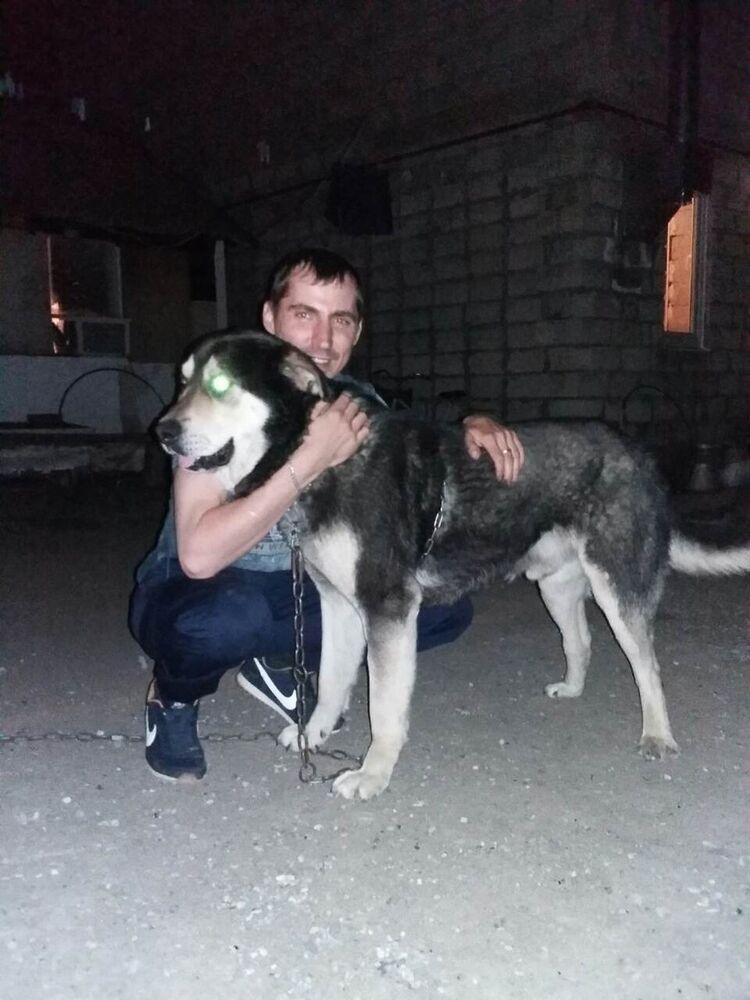 ���� 9493924 ������� �������, 40 ���, ���� ���������� � ����������