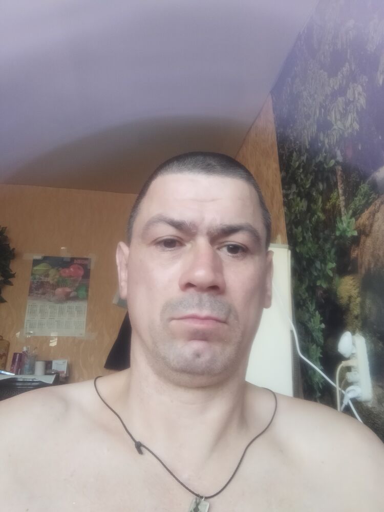  45559564  , 43 ,    