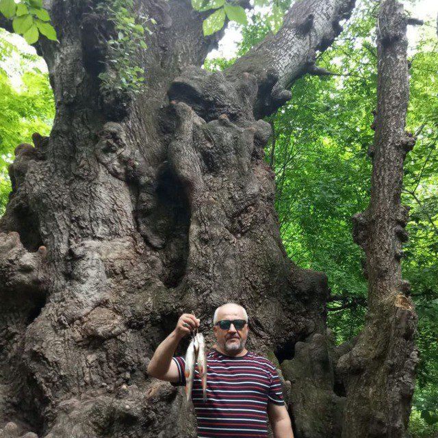  ,   , 60 ,   ,   