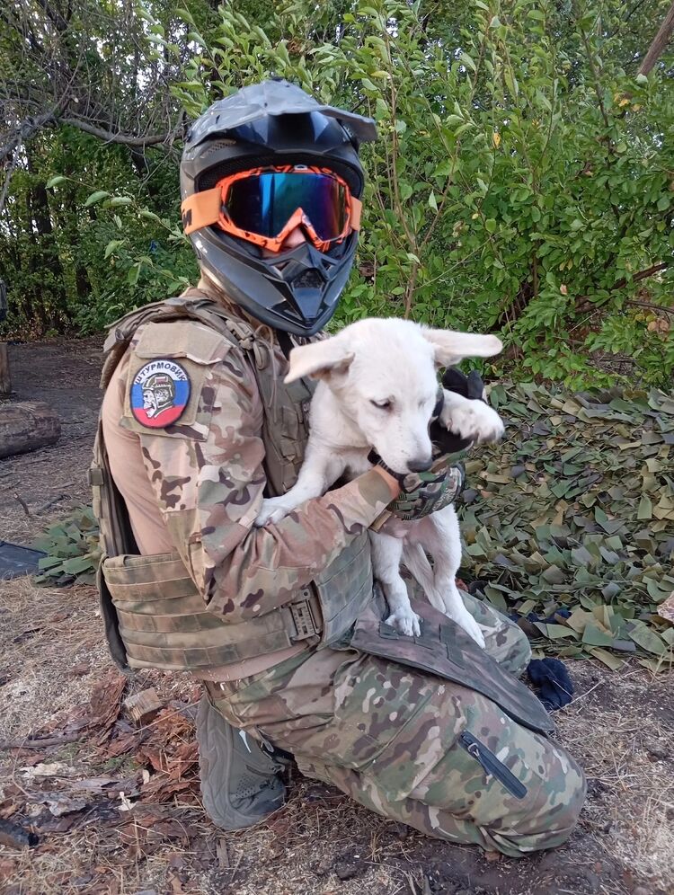 ���������� ������, ���� ����� ������, 23 ����, ������������ ��� ������, ����� � ���������, c�������� ���������