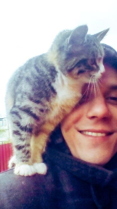 ���� 23513854 ������� ������, 34 ����, ���� ���������� � ������