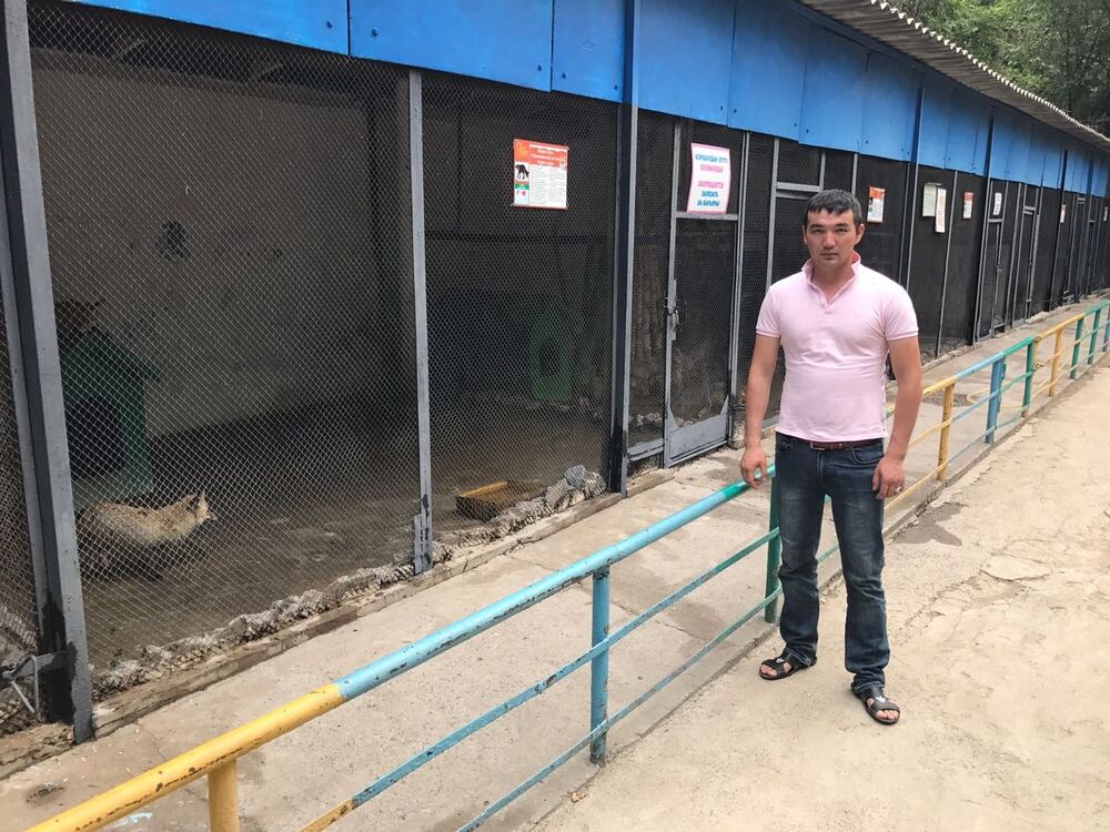  48965924  , 32 ,    -