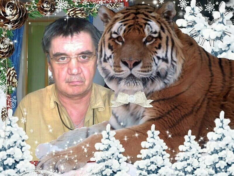  ,   , 62 ,   ,   , c , 