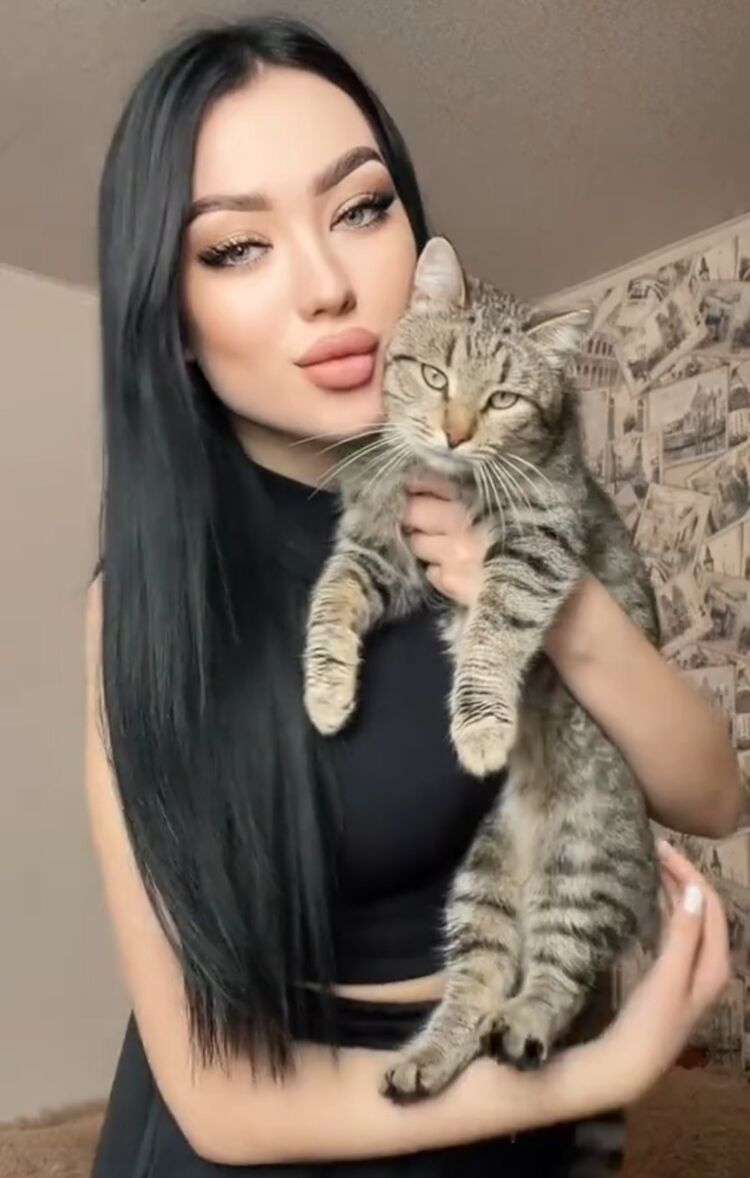  ,   , 29 ,     , c 