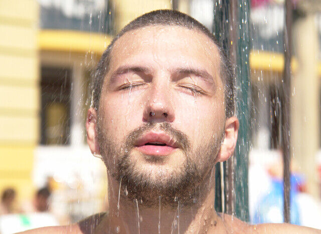 ���� 21245024 ������� �������, 44 ����, ���� ���������� � �����������