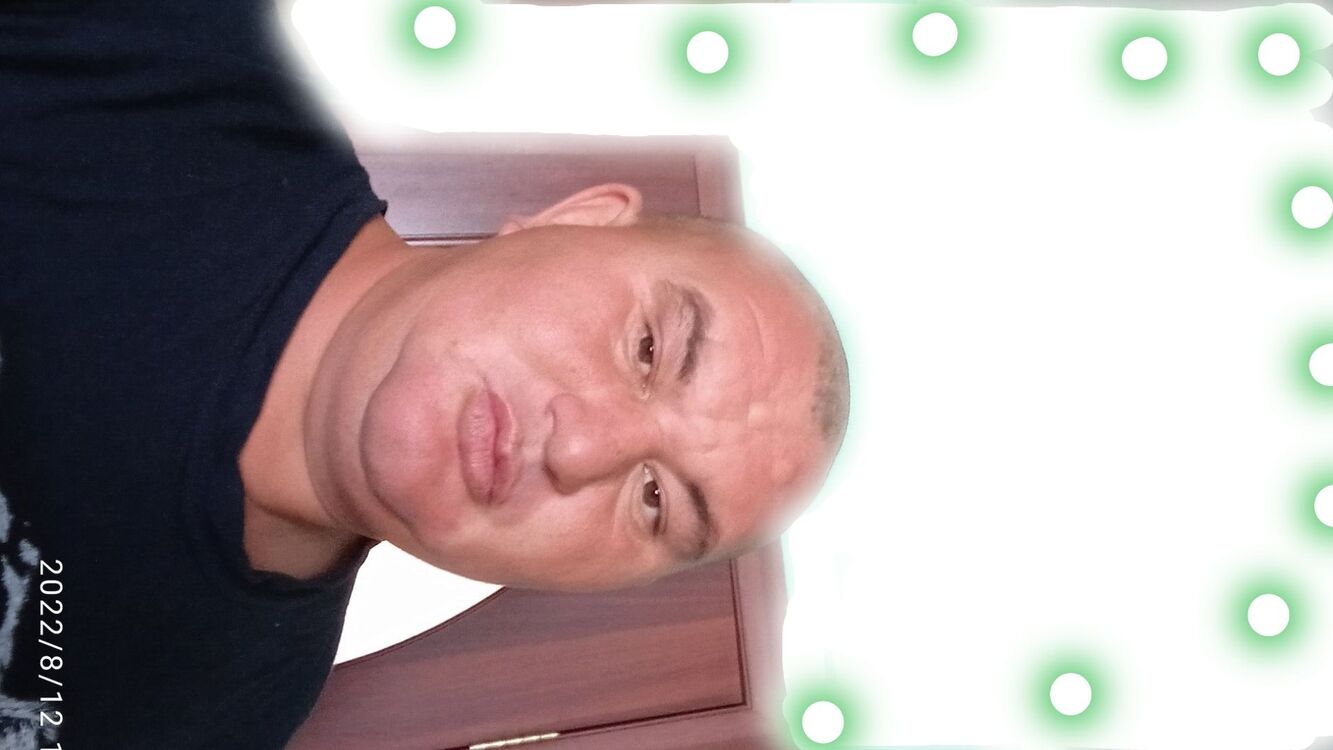 ���� 56039904 ������� �����, 36 ���, ���� ���������� � ����������