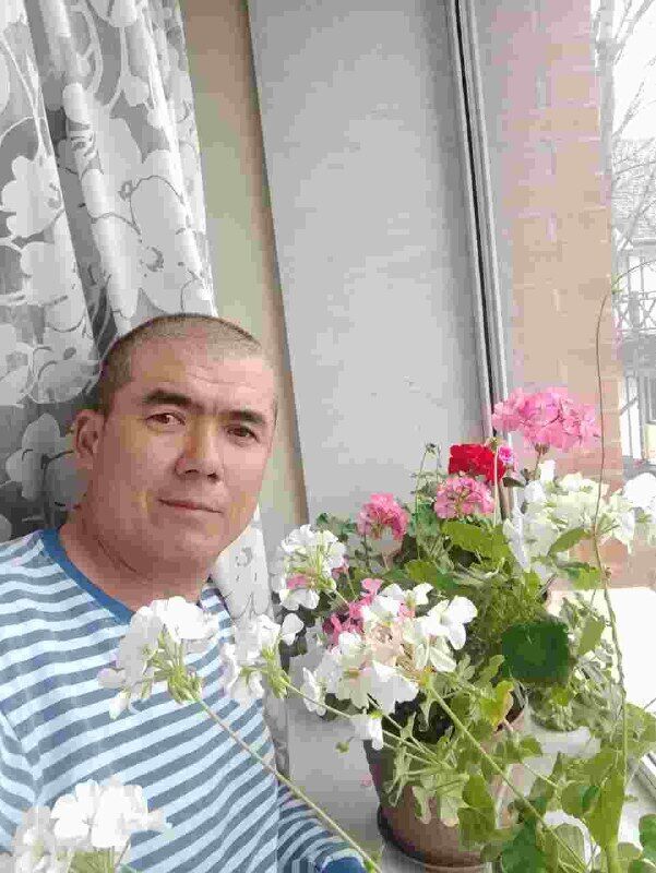 ���� 34131534 ������� �����, 50 ���, ���� ���������� � ����������