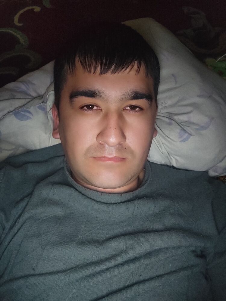 ���� 33198094 ������� ���, 33 ����, ���� ���������� � ������