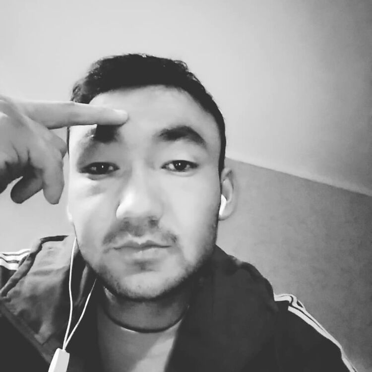  38442444  , 30 ,    