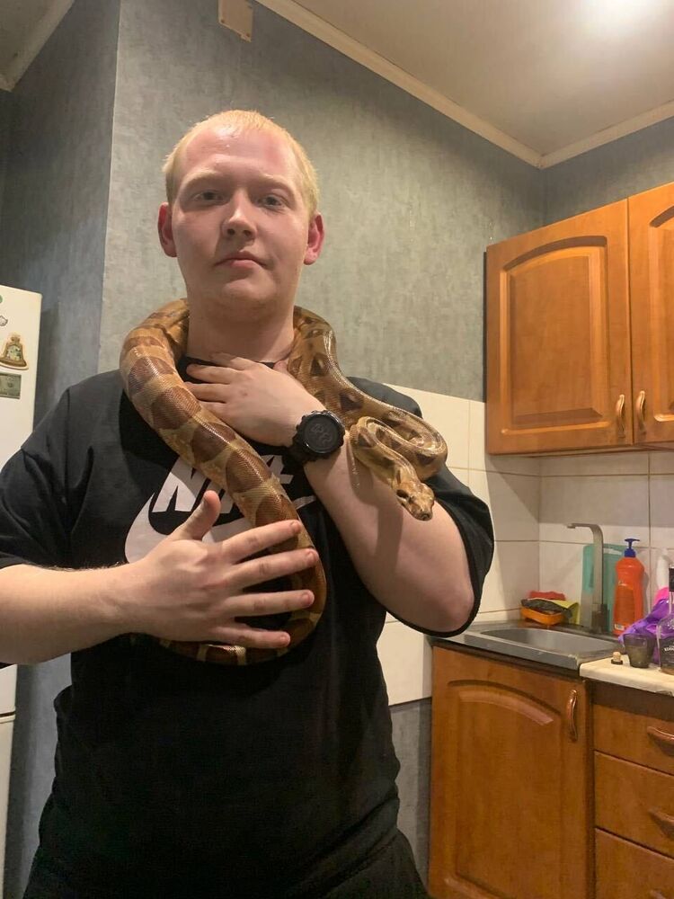 ���������� ������, ���� ����� ������, 22 ����, ������������ ��� ������, ����� � ���������, c�������� ���������, ���������