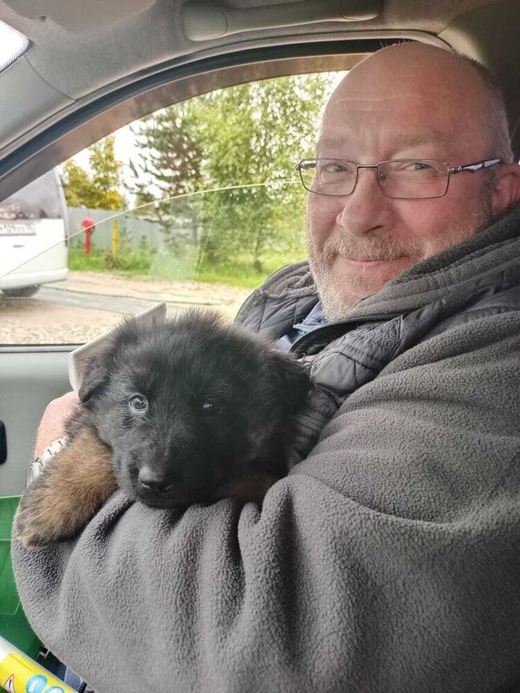  53923324  Sergey, 56 ,    