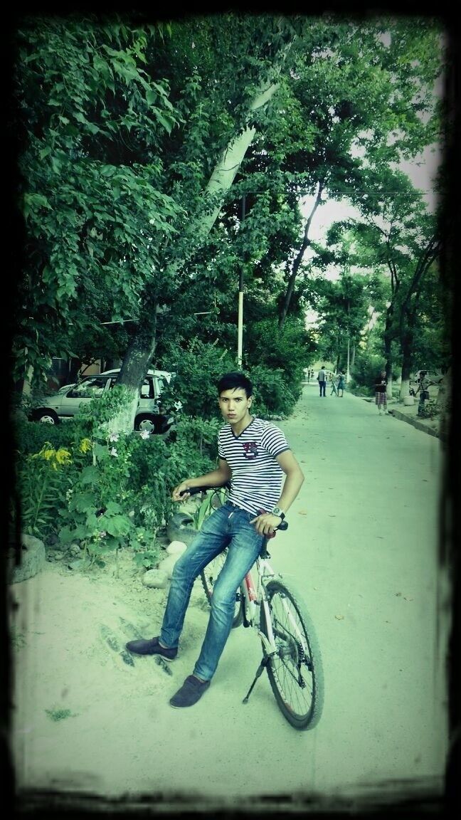  ,   Sardor, 33 ,   ,   , c 