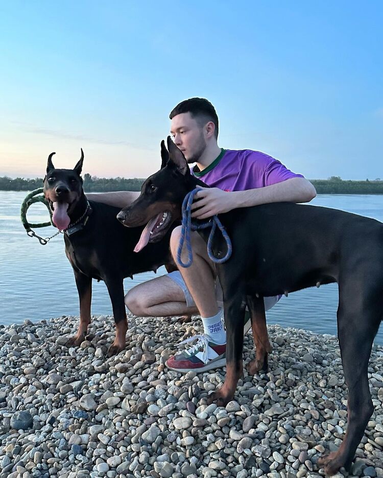 ���������� �����-���������, ���� ������� ����, 32 ����, ������������ ��� ����� � ���������, c�������� ���������, ���������