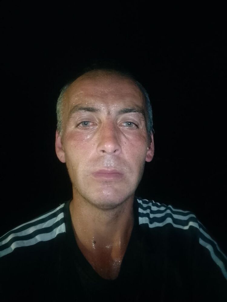  53027694  , 38 ,    
