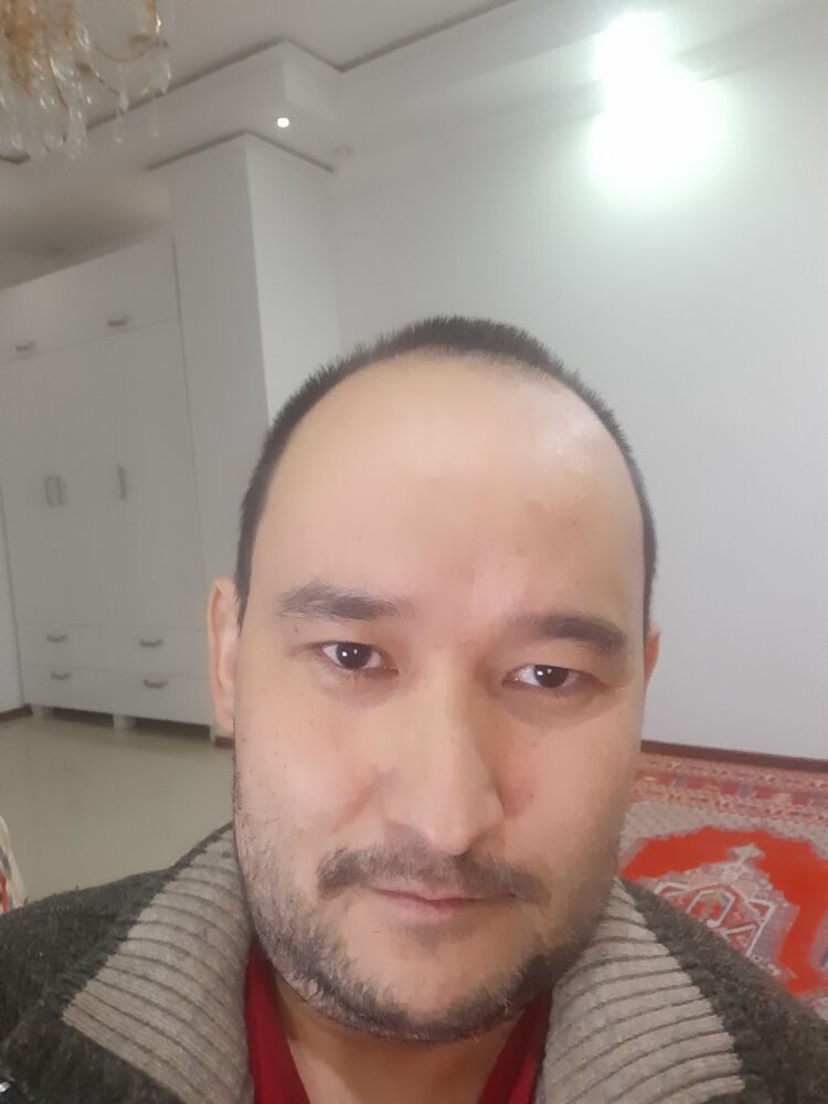  33013024  , 43 ,    