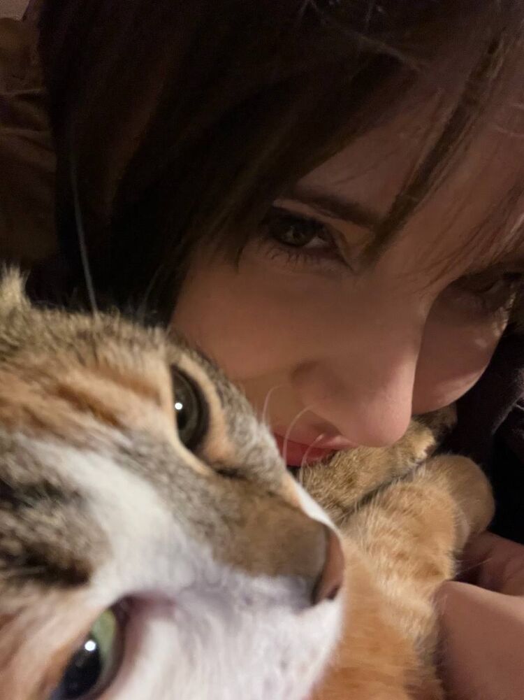 ���������� ������, ���� ������� ����, 22 ����, ������������ ��� ������, ����� � ���������