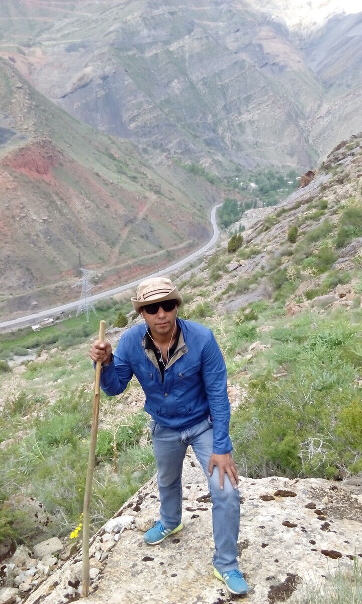 ���������� �������, ���� ������� ��������, 37 ���, ������������ ��� ������, ����� � ���������, c�������� ���������