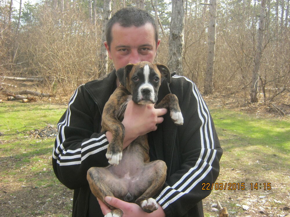 ���� 6305134 ������� �����, 43 ����, ���� ���������� � �����������