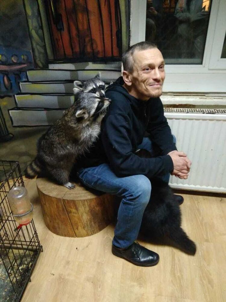 -,   , 56 ,   ,   , c 