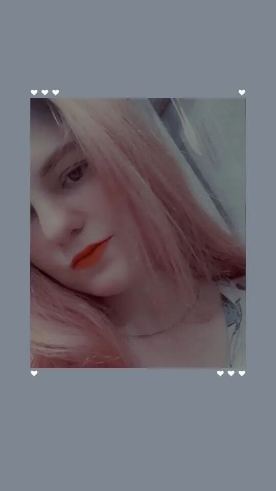  42913274  , 24 ,    