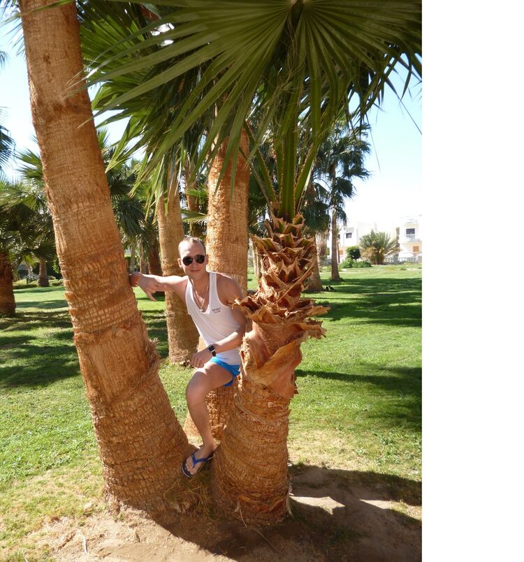 ���������� ������������, ���� ������� ������, 38 ���, ������������ ��� ������