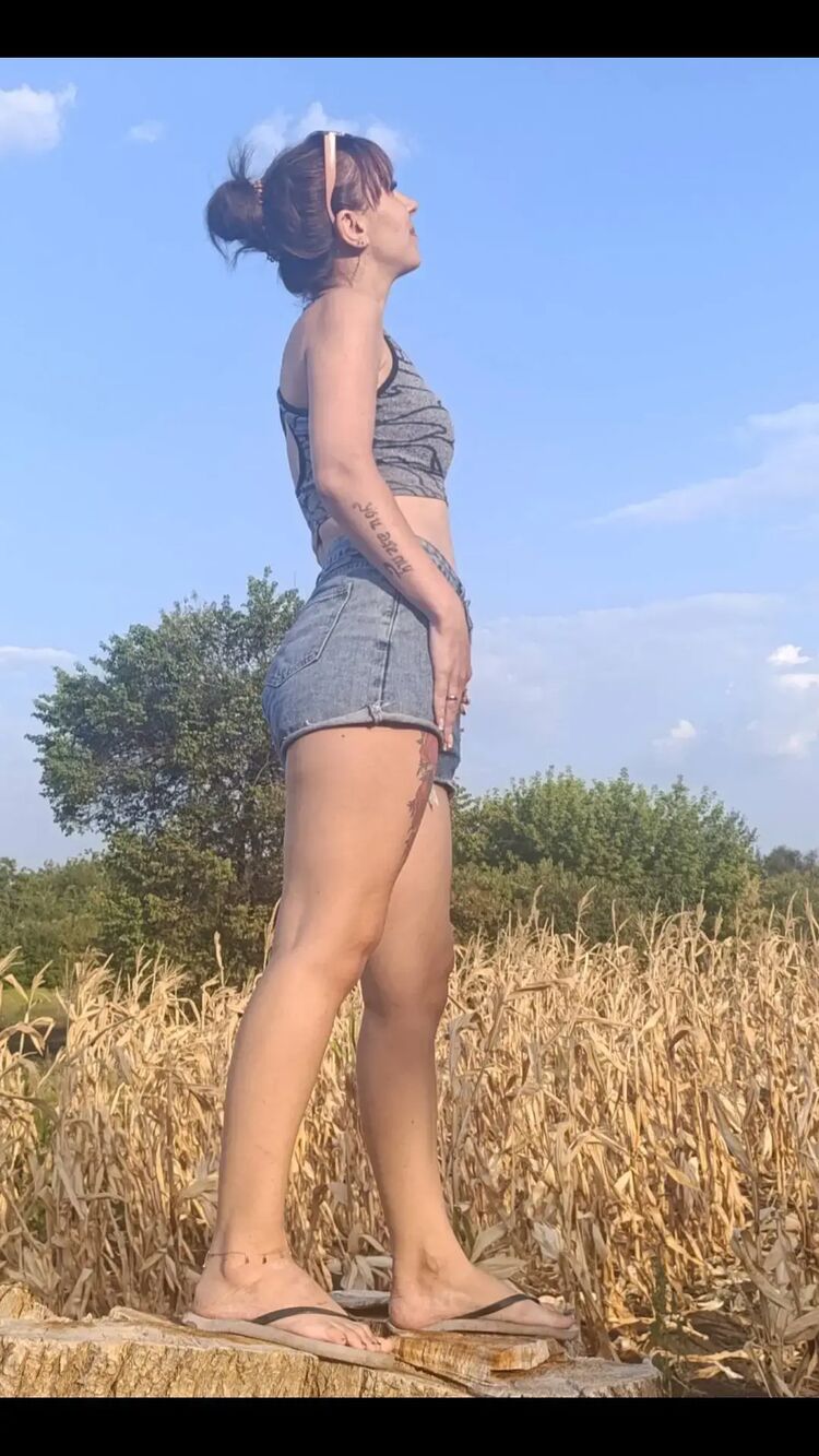  ,   , 33 ,   c 
