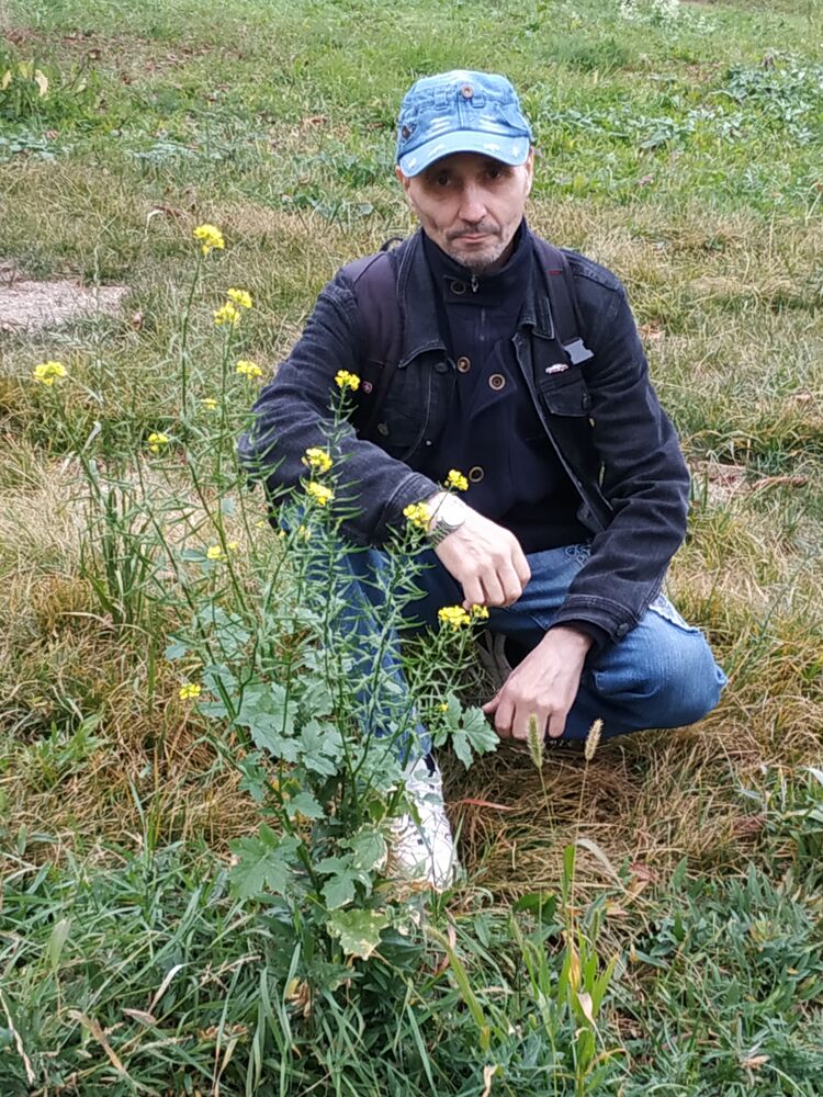 ���� 55086344 ������� ��������, 54 ����, ���� ���������� � ������