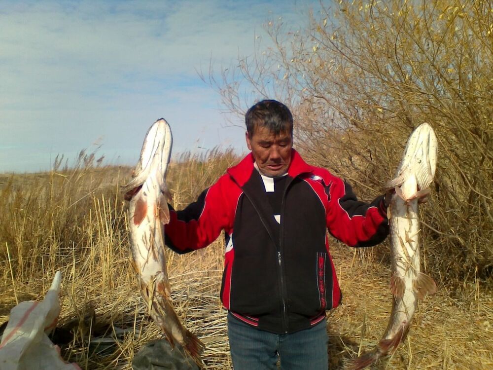  12157124  Murza, 64 ,    
