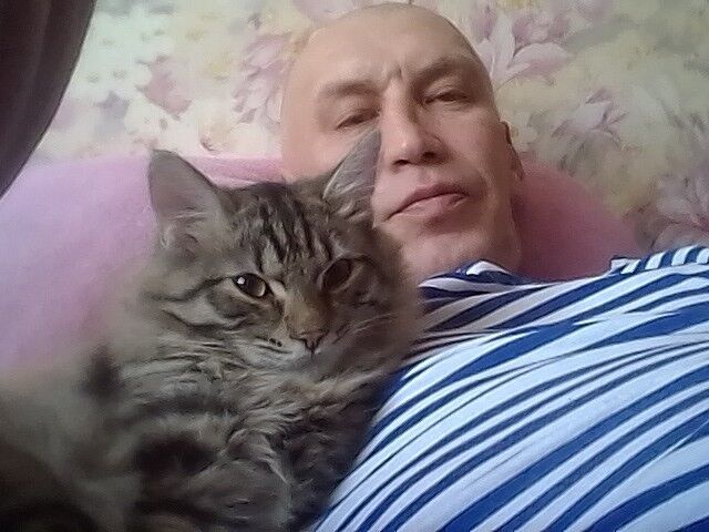  ,   , 54 ,   