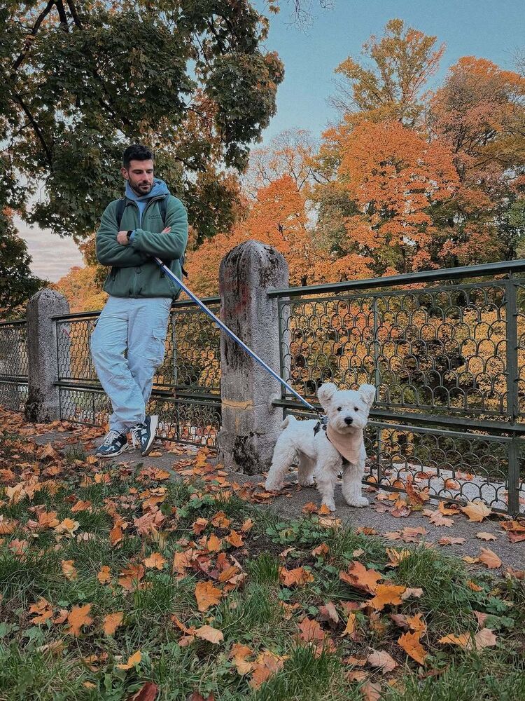 ���������� ������, ���� ������� ������, 36 ���, ������������ ��� ����� � ���������, c�������� ���������