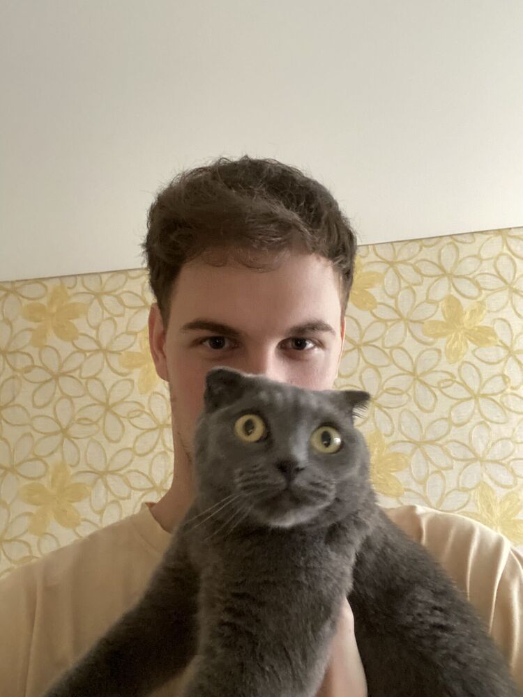  -,   , 23 ,  
