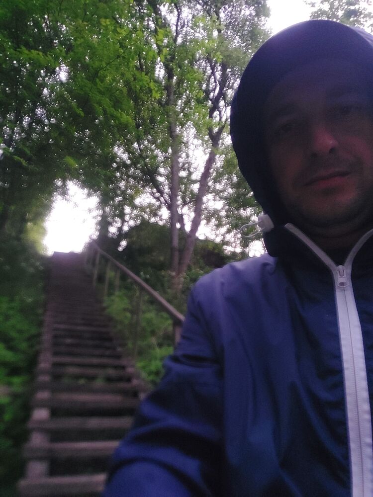  48733054  , 41 ,    -