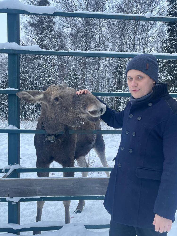 ���� 55976894 ������� �������, 31 ���, ���� ���������� � ���������