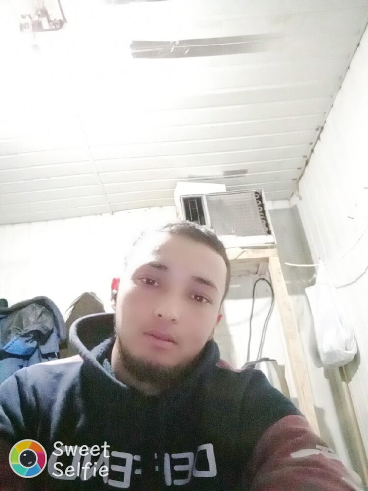 ���������� ���������, ���� ������� Shox, 31 ���, ������������ ��� ������, ����� � ���������