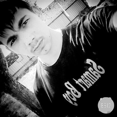 ���� 8121224 ������� ������, 29 ���, ���� ���������� � �������