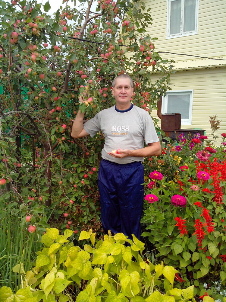  ,   , 62 ,   
