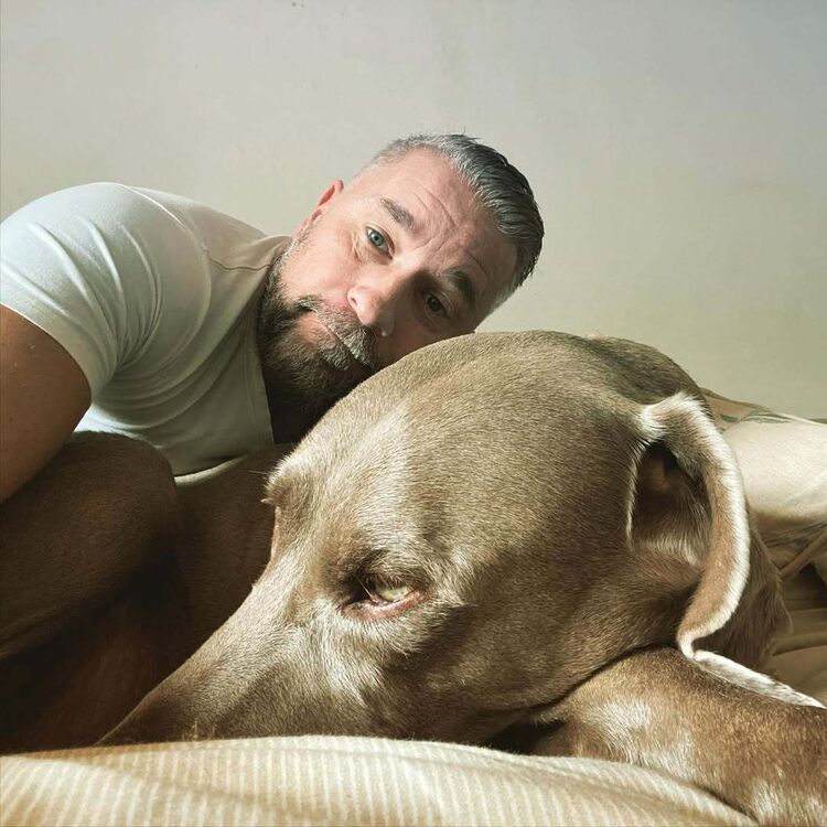 ���� 54096314 ������� �������, 42 ����, ���� ���������� � ���������