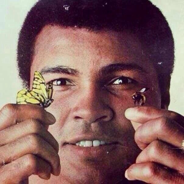 ���� 7656694 ������� �����, 33 ����, ���� ���������� � ������