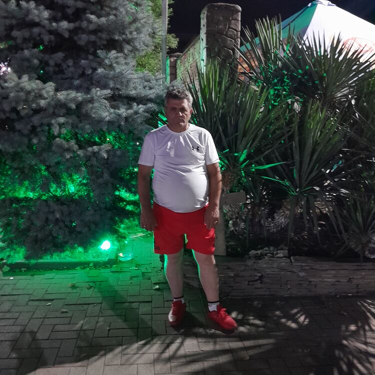  44704644  , 53 ,    