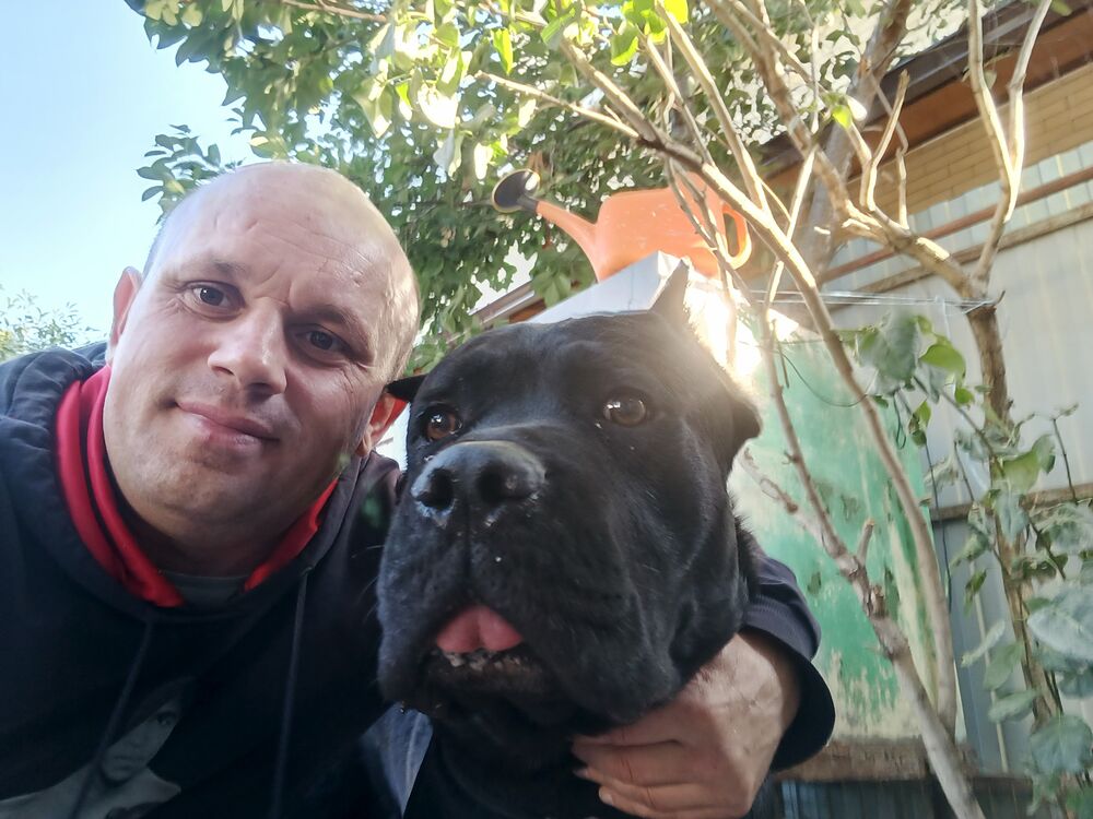  --,   , 41 ,   ,   , c 